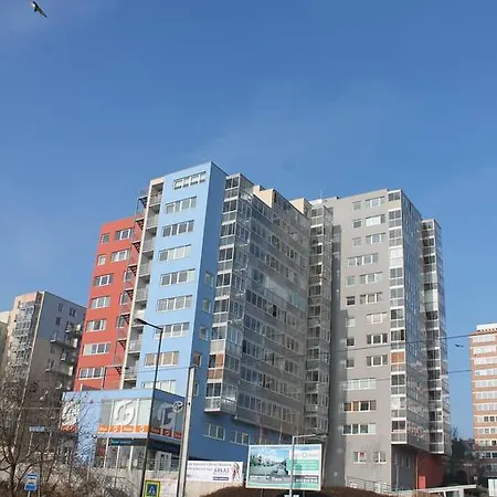 New Studio On V Doline 1 Apartment